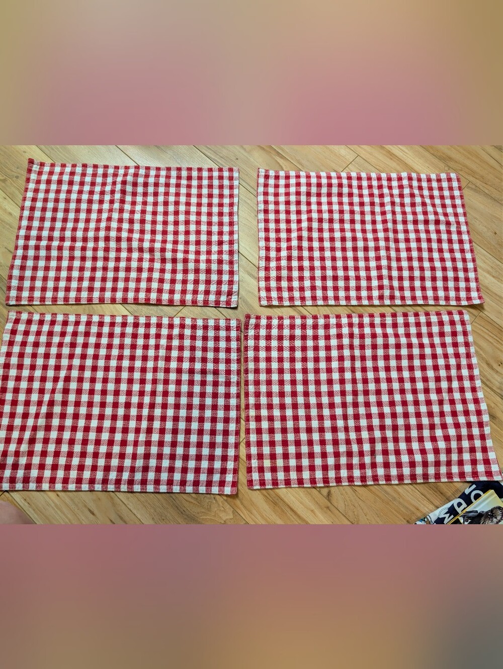 Sur La Table Reversible Placemats Red Gingham Set 4